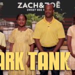 Zach and Zoe Honey Net Worth Revealed Income, Lifestyle & TikTok Earnings (2026)