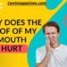 Why Does the Roof of My Mouth Hurt When I Eat? 7 Surprising Causes