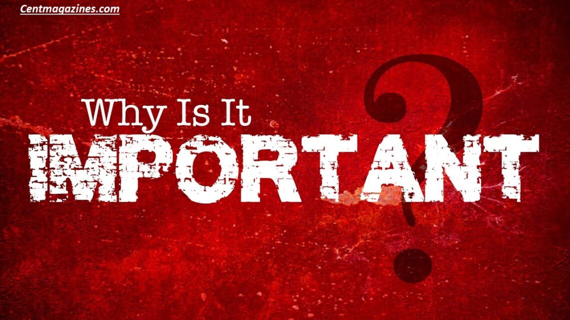 Why Is It Important? Meaning, Uses, and Real-Life Examples