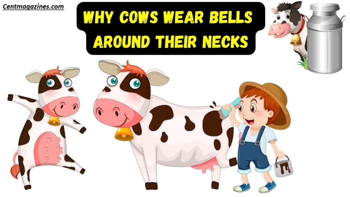 Why Do Cows Wear Bells? Surprising Truth Revealed