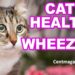 Why Is My Cat Wheezing? (Here's What I Learned the Hard Way)